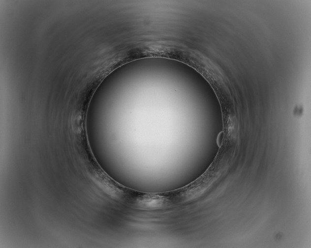 X0000100370514200806061158