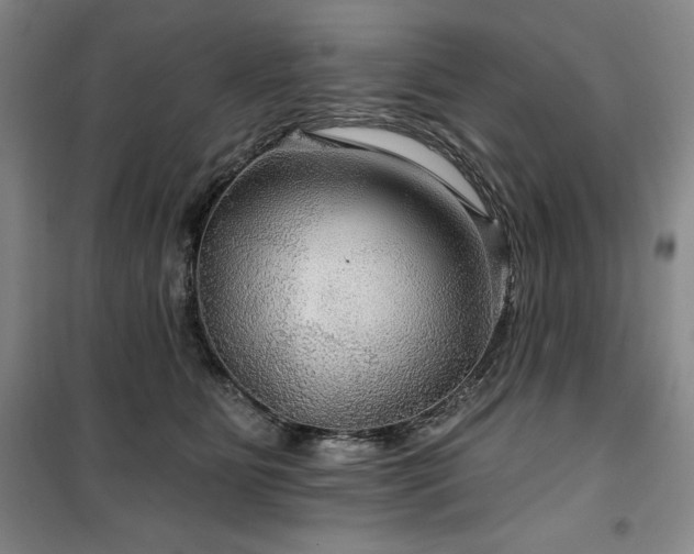 X0000100370515200806061158