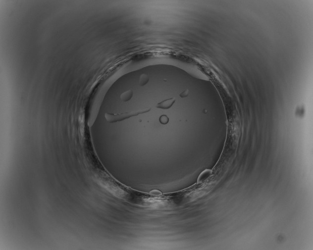 X0000100370516200806061158