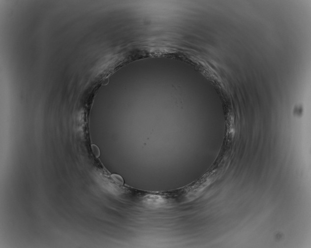 X0000100370519200806061158