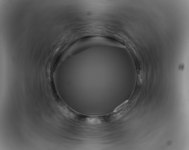 X0000100370520200806061158