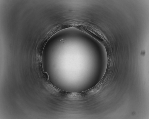 X0000100370521200806061158