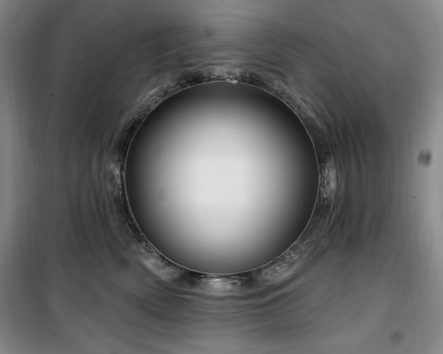 X0000100370522200806061158