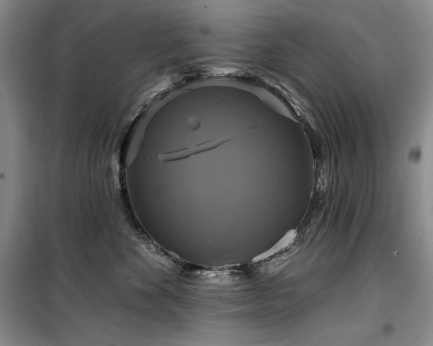 X0000100370524200806061158