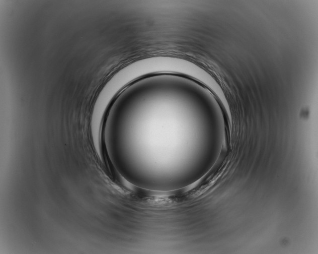 X0000100370525200806061158