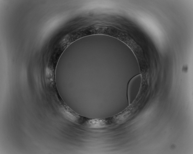 X0000100370526200806061158