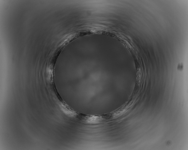 X0000100370527200806061158