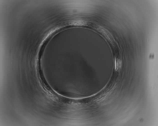 X0000100370531200806061157