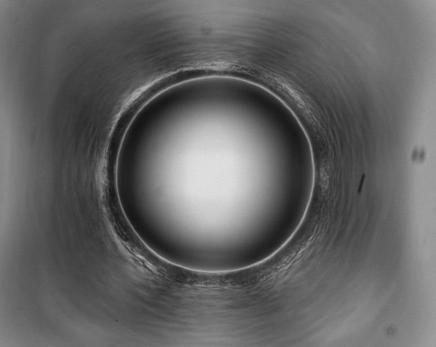 X0000100370532200806061157