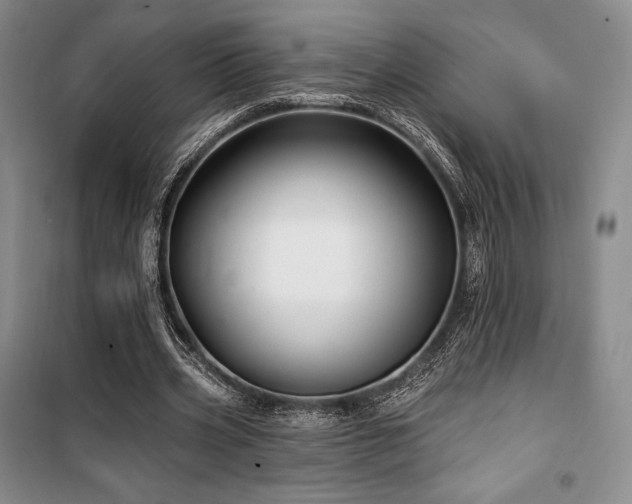 X0000100370533200806061157