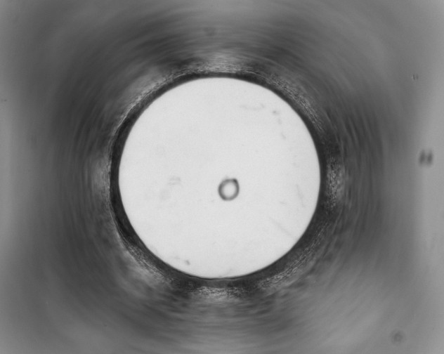 X0000100370534200806061157