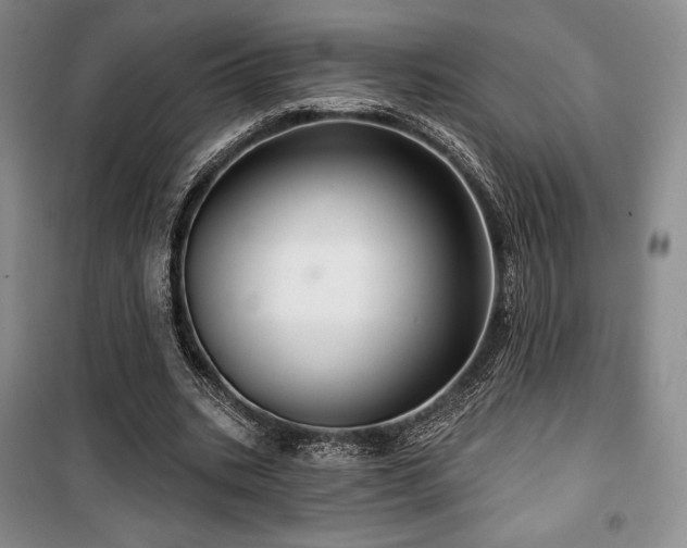 X0000100370535200806061157