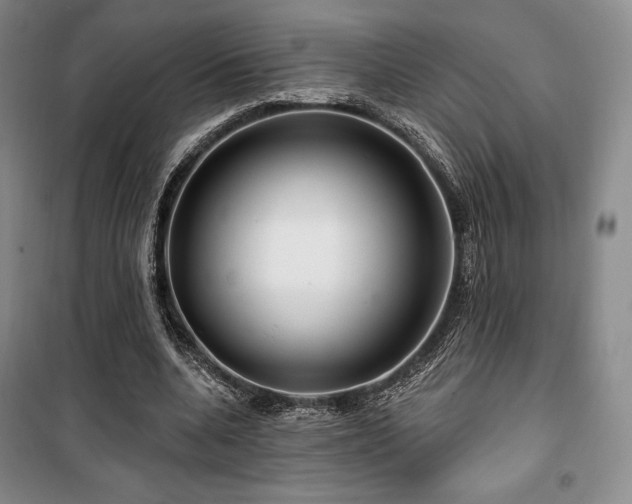 X0000100370536200806061157