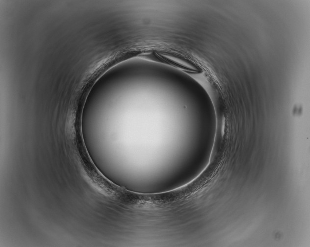 X0000100370538200806061158