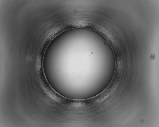 X0000100370541200806061158