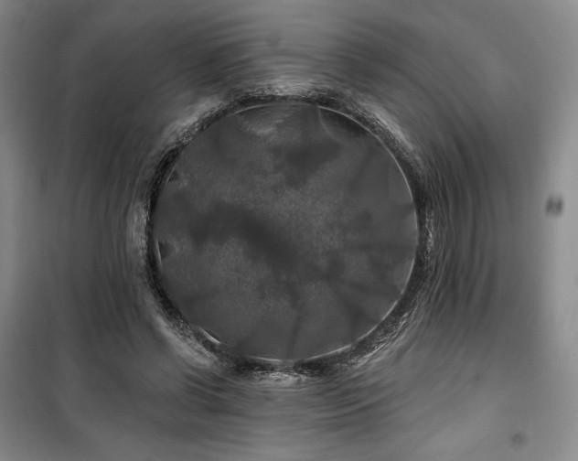 X0000100370542200806061158