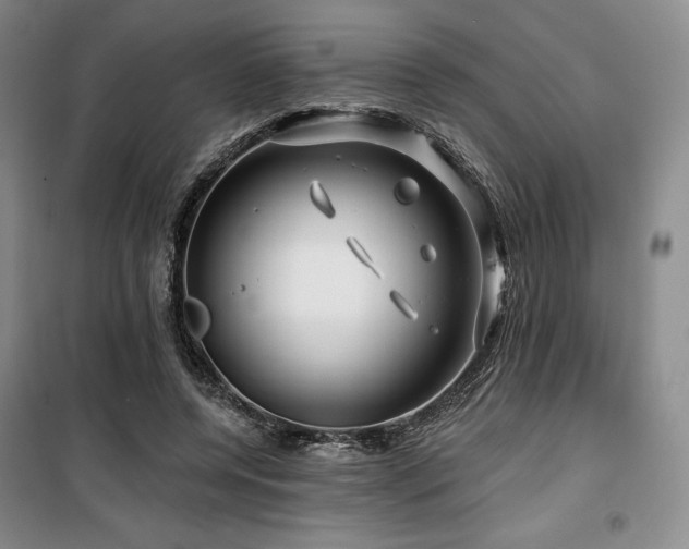 X0000100370544200806061158