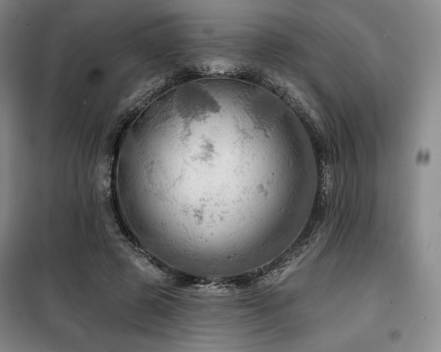 X0000100370545200806061158