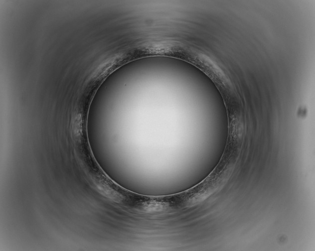 X0000100370549200806061158