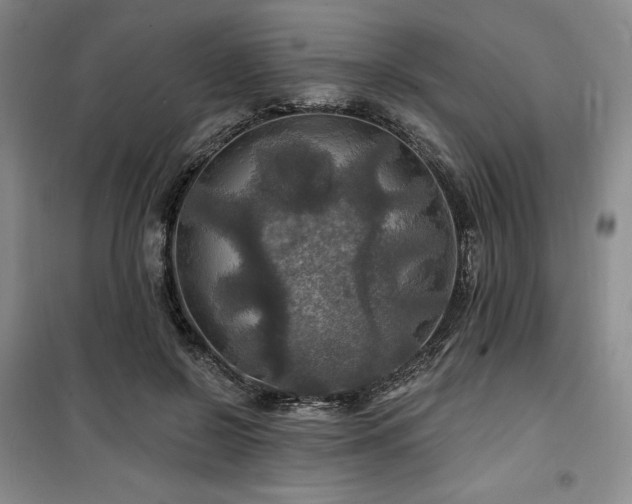 X0000100370550200806061158