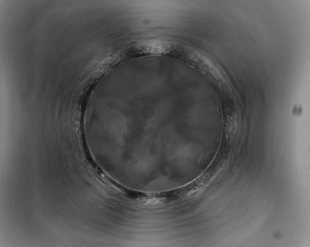 X0000100370553200806061158