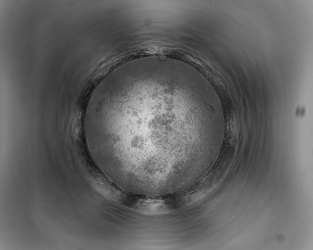 X0000100370554200806061158