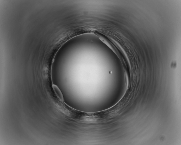 X0000100370556200806061158