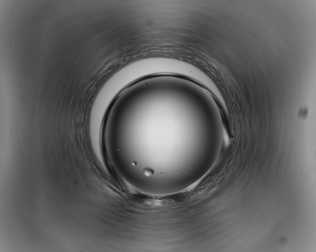 X0000100370558200806061158