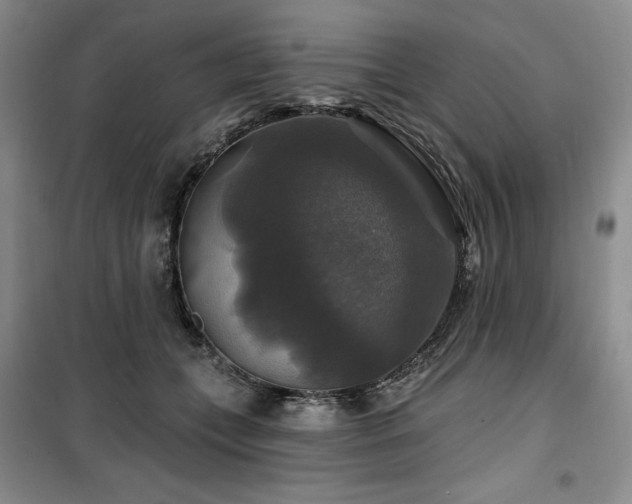 X0000100370559200806061158