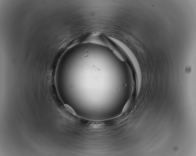 X0000100370560200806061158