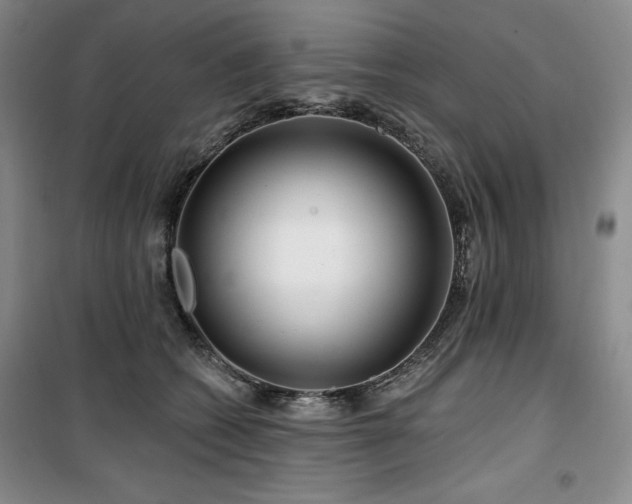 X0000100370562200806061158