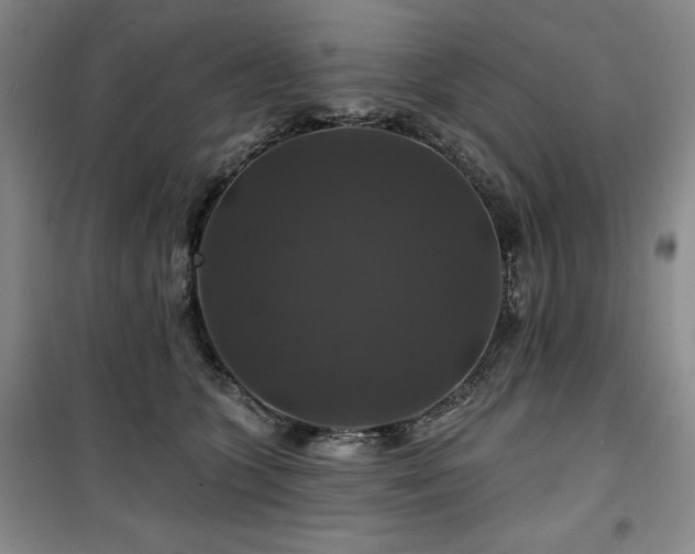 X0000100370563200806061158