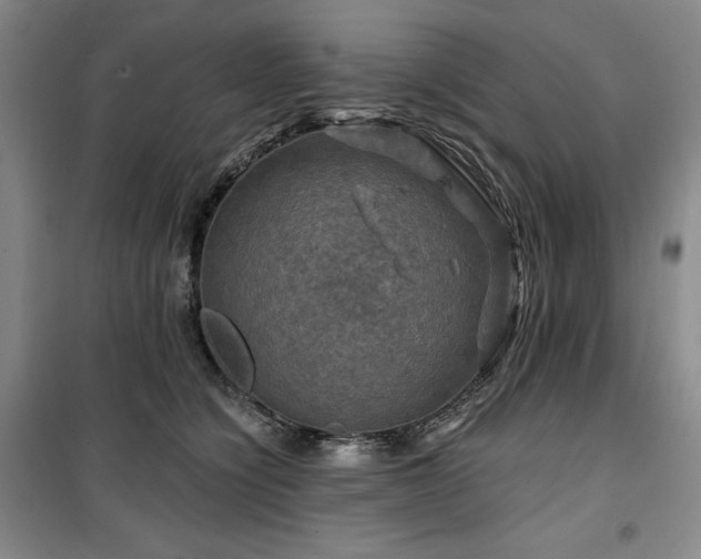 X0000100370564200806061158