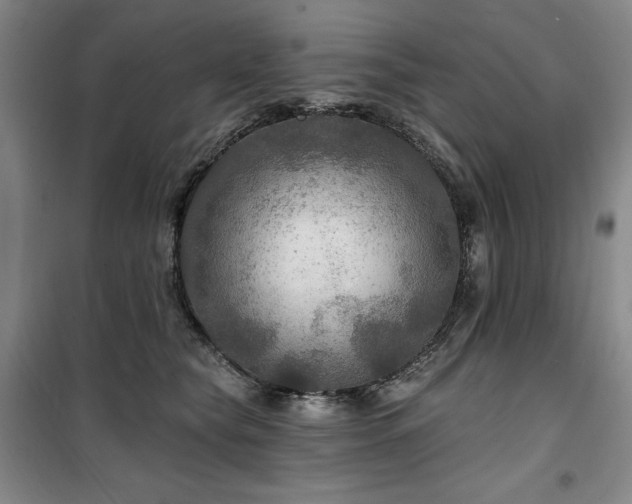 X0000100370565200806061158