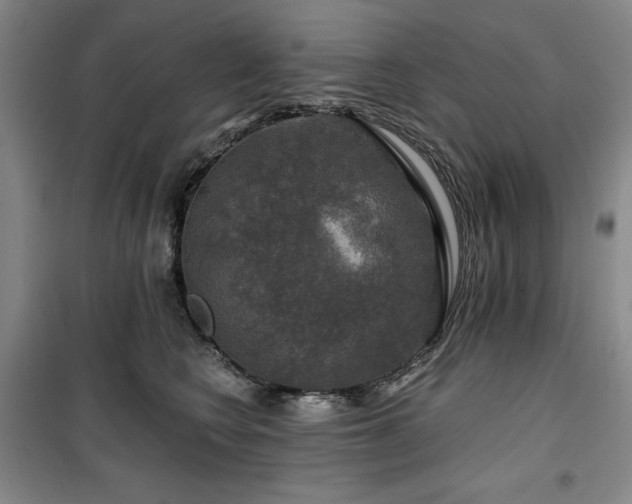 X0000100370566200806061158