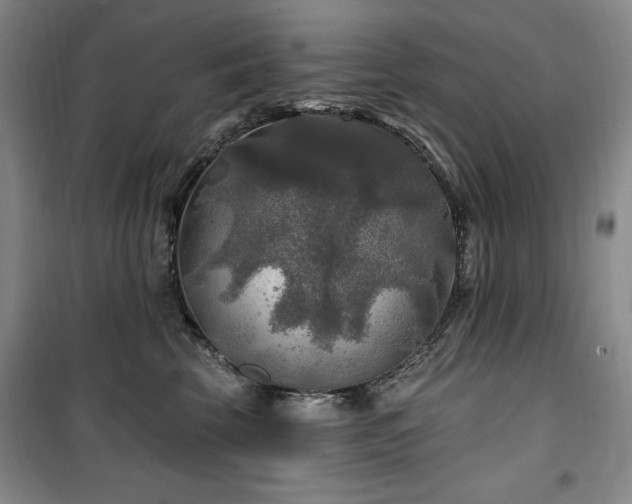 X0000100370569200806061158