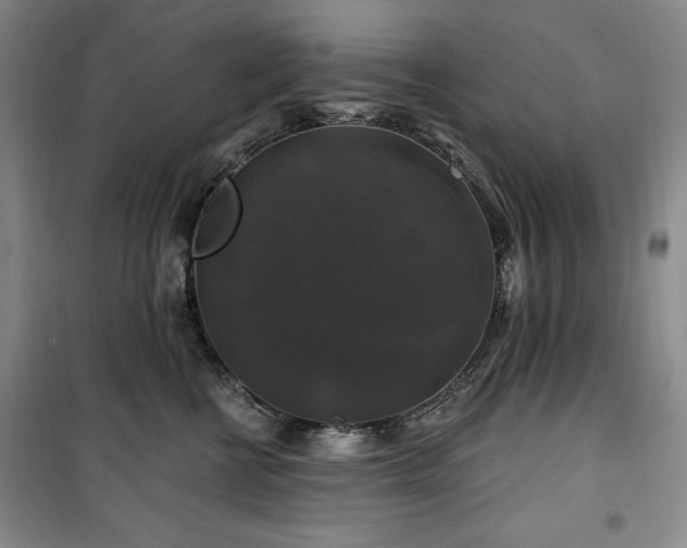 X0000100370570200806061158