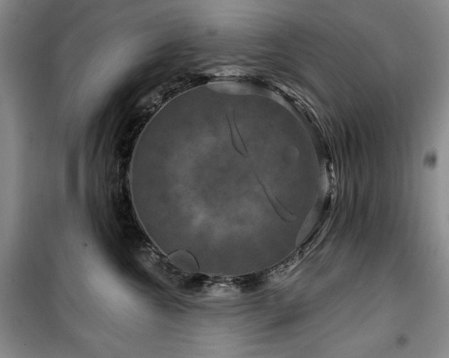 X0000100370572200806061158