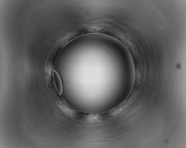 X0000100370574200806061158