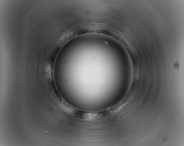 X0000100370575200806061158