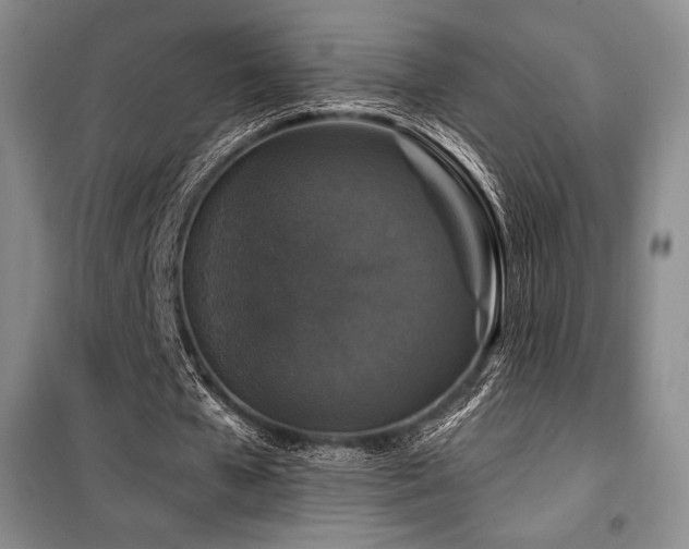 X0000100370577200806061157