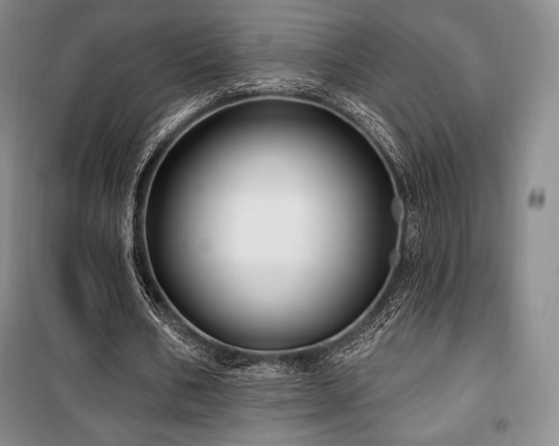 X0000100370578200806061157