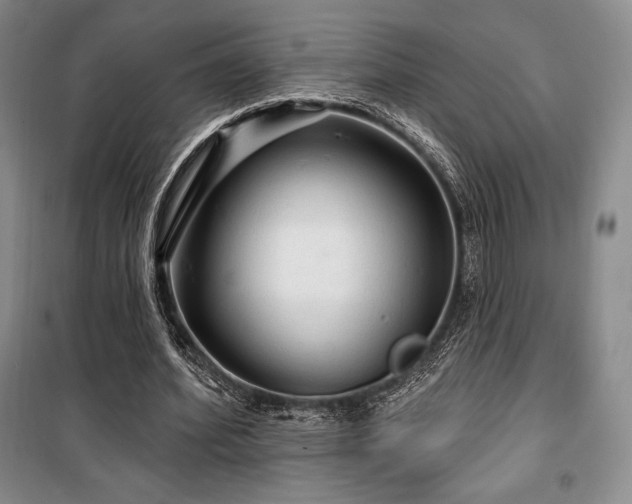 X0000100370580200806061157