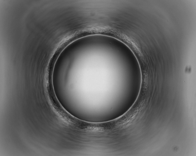 X0000100370582200806061157