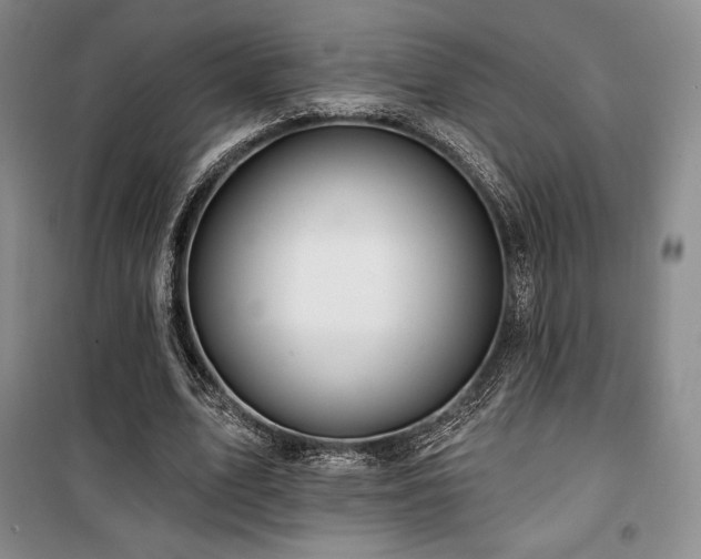 X0000100370583200806061157