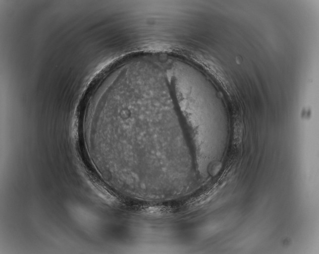 X0000100370584200806061157