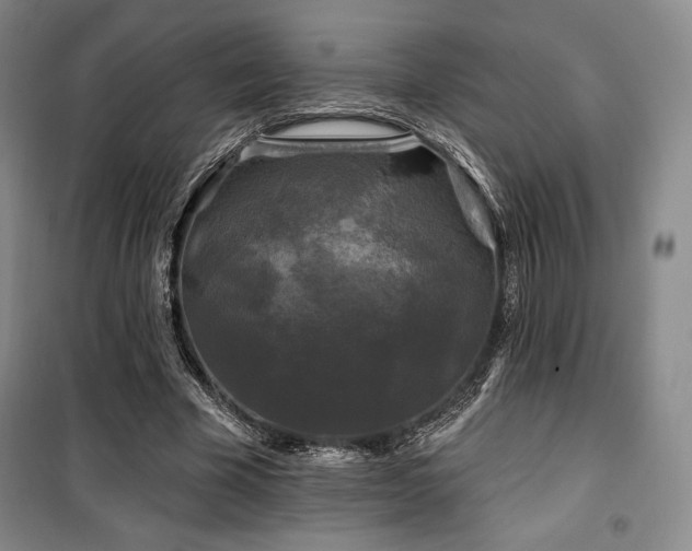 X0000100370585200806061157