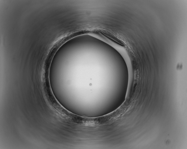 X0000100370587200806061157