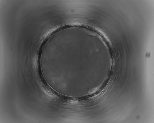 X0000100370588200806061157