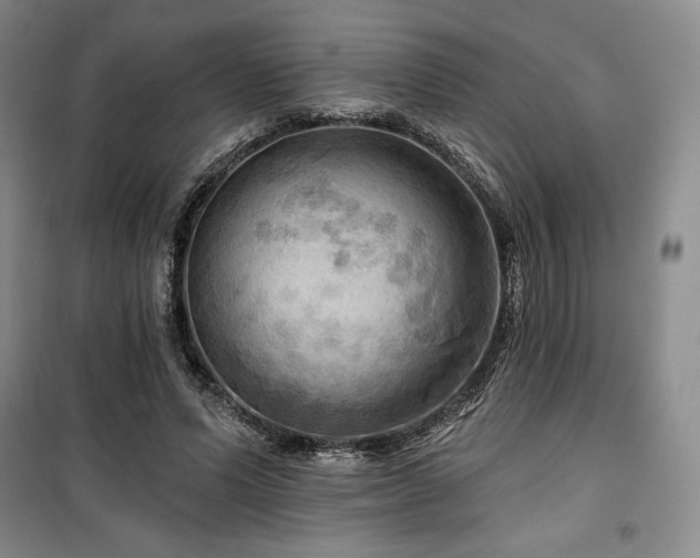 X0000100370591200806061157